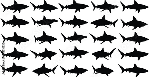 Collection of shark silhouettes in different swimming poses isolated on white background, marine predator shapes, ocean wildlife vector illustration