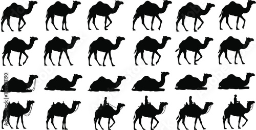 Multiple camel silhouettes showing walking sitting and riding poses, desert animal motion sequence, caravan travel and nomadic journey illustration