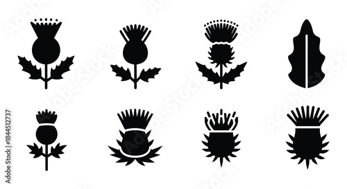 Illustrative set of black and white thistle flower designs in varying styles