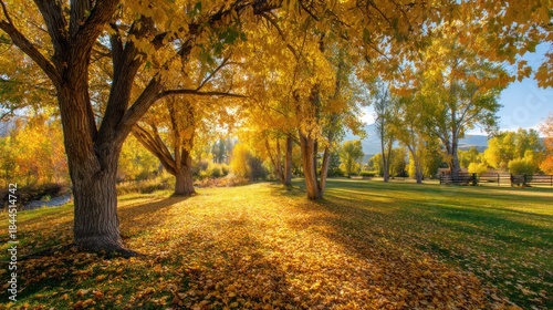 A golden fall landscape with trees shedding their leaves and the ground covered in autumn colors.