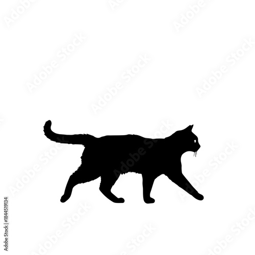 A black silhouette of a cat walking with its tail held high and its mouth slightly open.