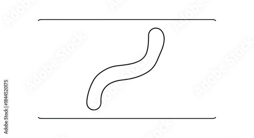 Simple line drawing of a worm in a rectangular frame