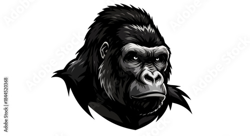 Detailed vector illustration of a monkey head, showcasing its strong features and intense gaze, ideal for logos, branding, and designs requiring a powerful animal symbol.