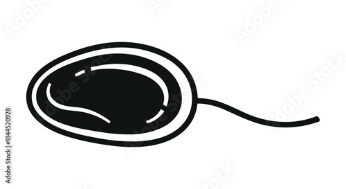 Sperm cell illustration on white background