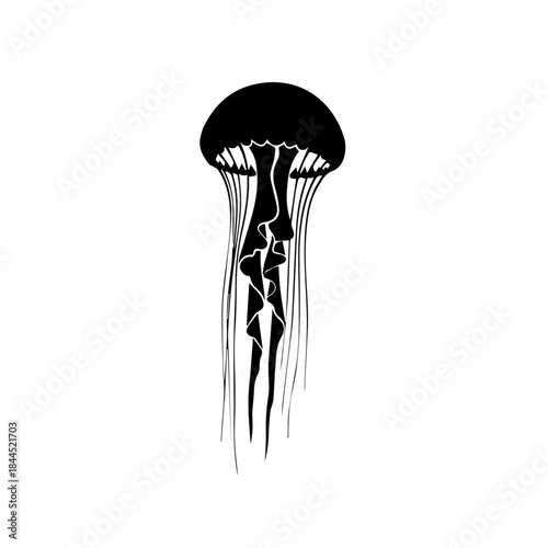 Black silhouette of a jellyfish with long flowing tentacles isolated on a white background.