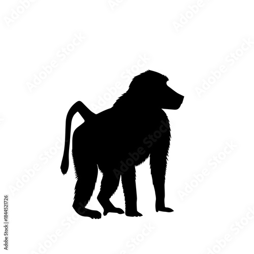 Black silhouette of a baboon standing, isolated on a white background, depicting the side profile of the primate.