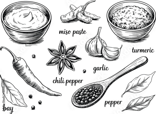 Detailed Black and White Vintage Engraving of Asian Culinary Ingredients Featuring Miso Paste, Turmeric, Ginger, Garlic, Chili Pepper, and Spices for Recipe and Food Design.