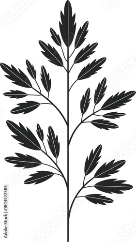 Minimalist Black Silhouette Vector Illustration of a Detailed Fern Frond or Elegant Branch with Small Leaves, Suitable for Botanical, Nature, and Decorative Design Elements.