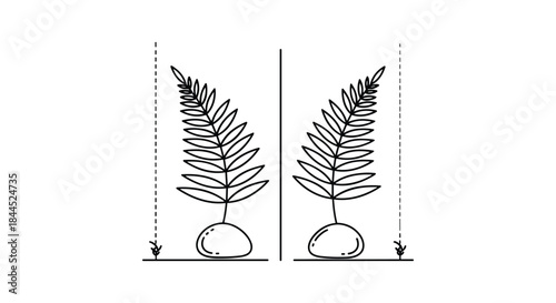 Plant growth comparison illustration