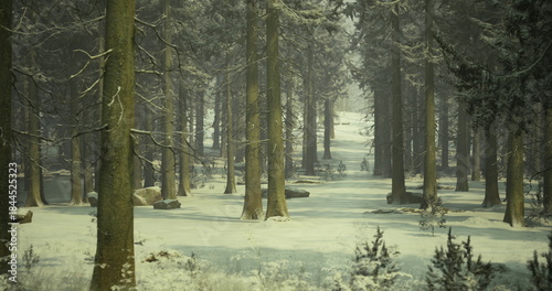 A serene winter landscape features tall evergreen trees blanketed in snow. The quiet surroundings evoke a peaceful ambiance, inviting exploration and reflection.