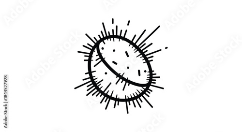 Simple hand drawn illustration of a sun