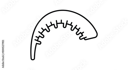 Simple black line drawing of a baseball