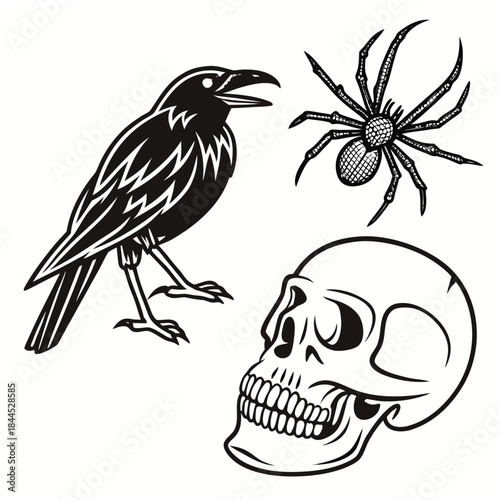 Black crow spider and skull icons on white background 2