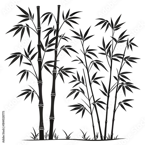 Black bamboo stalks with leaves and grass silhouettes