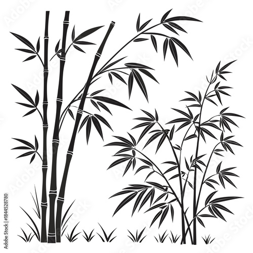 Black bamboo stalks and leaves silhouettes on white background