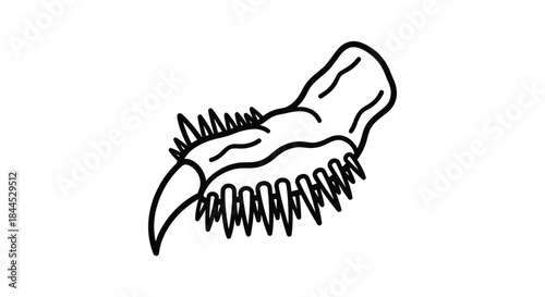 Dinosaur jawbone with sharp teeth