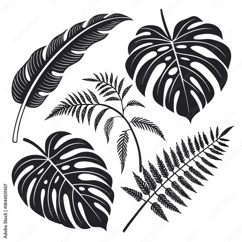 Fototapeta premium Black silhouettes of tropical leaves on a white background