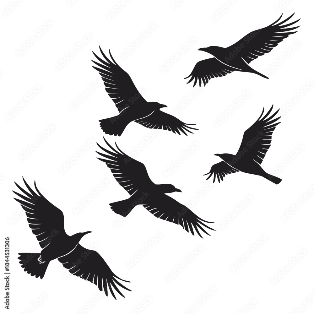 Obraz premium Black silhouettes of seven birds in flight flying white background