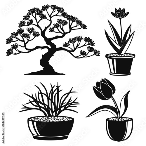 Black silhouettes of potted plants and bonsai tree