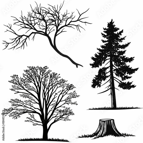 Black silhouettes of four different trees and a stump