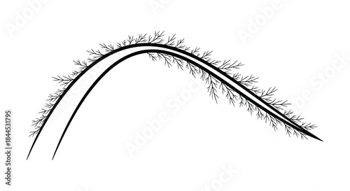 Eyelash extension illustration on white background