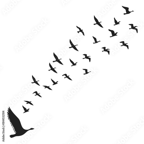Black silhouettes of birds flying in a V formation
