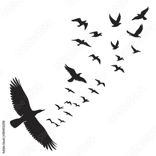 Black silhouettes of birds flying in formation flock
