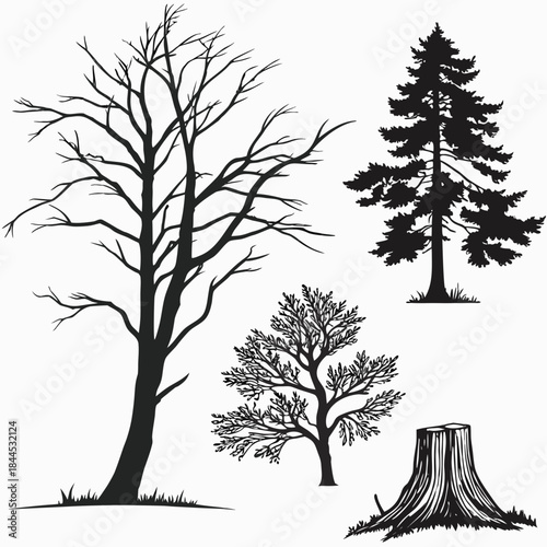 Black silhouettes of bare trees pine tree and stump
