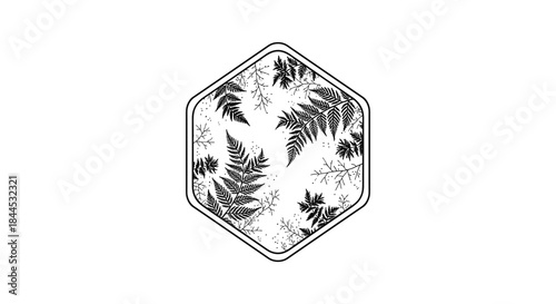 Black and white hexagonal frame with fern leaves and snowflakes