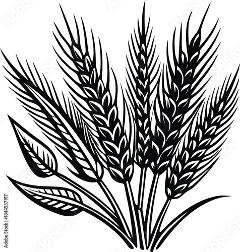 hand-drawn-modern-illustration-of-wheat-spikelets- (5).eps