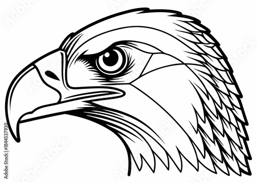 A black and white illustration of an eagles head in profile