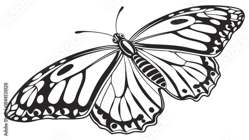Black and white butterfly with open wings for coloring book pages