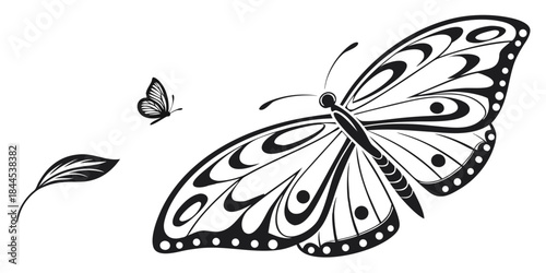 Black and white butterfly illustration with leaf on isolated
