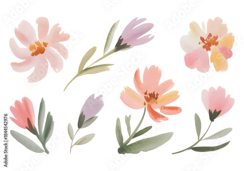 Soft watercolor cosmos blossoms with pastel petals and gentle botanical leaves.