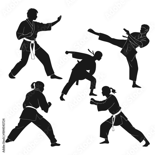 Five Silhouettes of Asian Martial Arts Poses karate