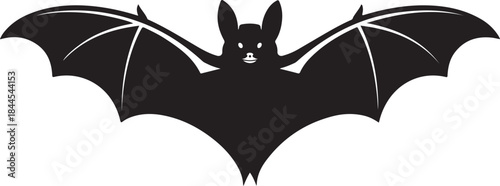 Black Silhouette of a Bat with Wings Spread Wide Against a White Background