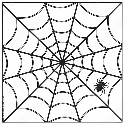 Black spider on a white geometric spiderweb pattern