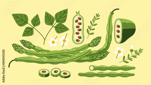 Illustration of assorted green vegetables and herbs on a light background