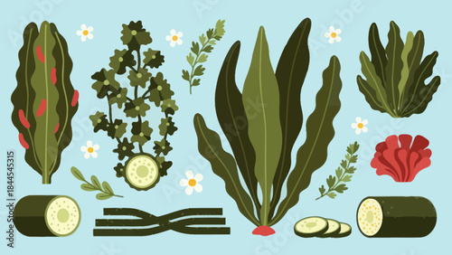 Vibrant Assortment of Fresh Vegetables and Green Herbs Arranged Flat