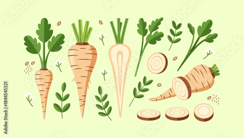 Colorful Illustration of Fresh Carrots with Leaves and Sliced Pieces for