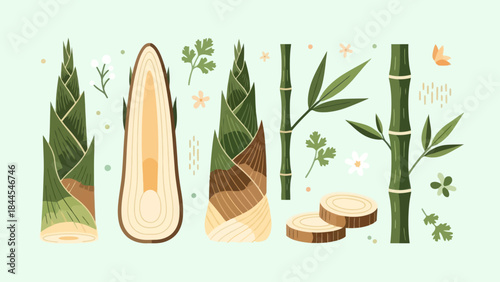Illustration of Various Bamboo Segments and Sliced Bamboo with Green Leaf