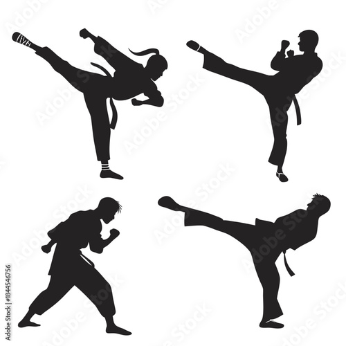 Four black silhouettes of martial artists performing kicks 2