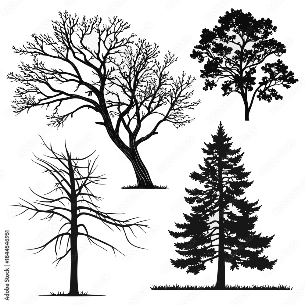 Obraz premium Four black tree silhouettes bare pine and leafy bare tree