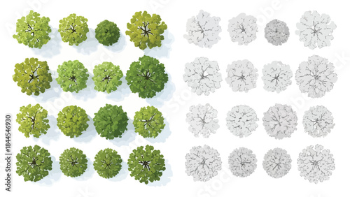 Set of realistic 3D render top view trees for architectural landscape design