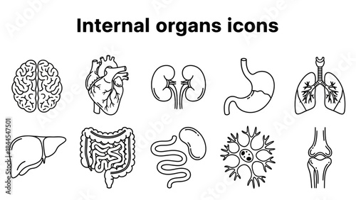 Collection of simple line illustrations of human internal organs including brain, heart, and lungs from a medical viewpoint