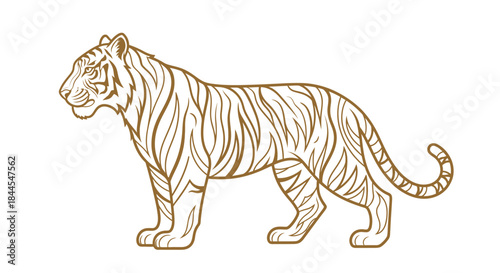 Majestic Golden Tiger Profile Illustration Isolated on Clean White Background