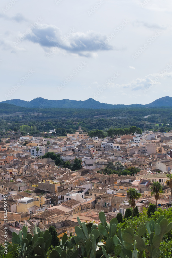Fototapeta premium city of arta, artá with the mountains and cactus