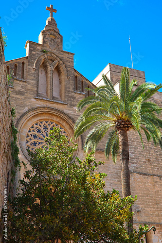 Sant Jaume temple in alcúdia mallorca with the city wall and palm tree