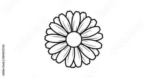 Clean and simple black outline drawing of a daisy flower viewed from directly above, capturing its classic and cheerful botanical form.