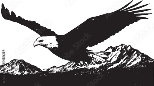 Eagle flying over mountains in a black and white silhouette vector illustration. This artwork represents nature in a simplistic and artistic style.